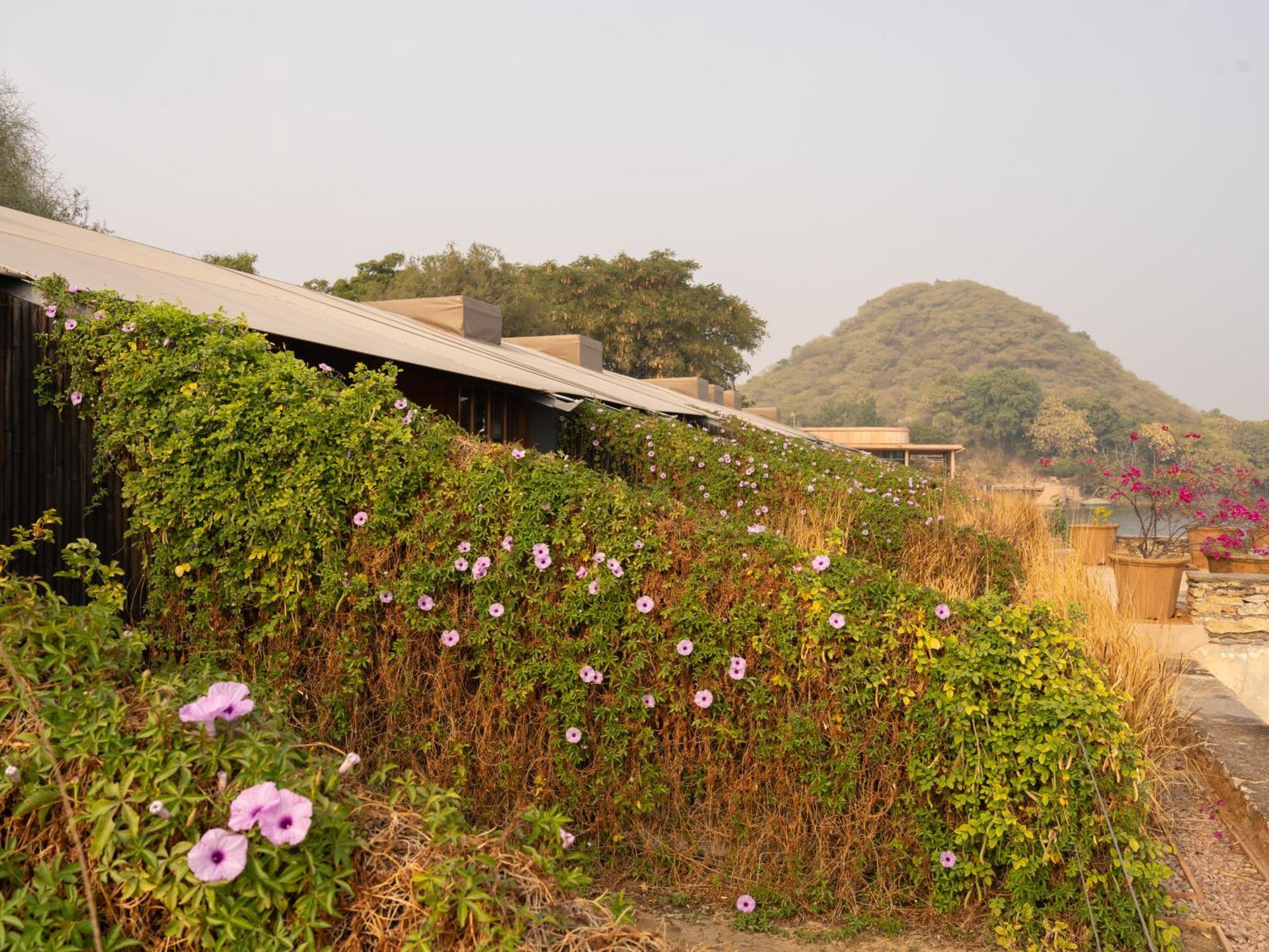 Raas Chhatrasagar, Nimaj, District Pali מראה חיצוני תמונה