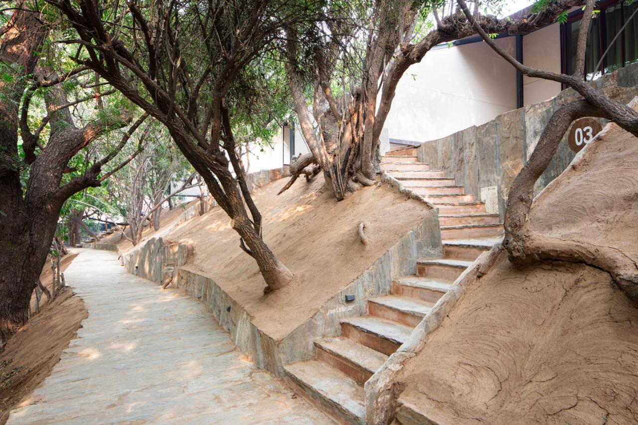 Raas Chhatrasagar, Nimaj, District Pali מראה חיצוני תמונה